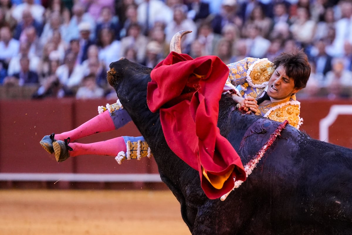 Roca Rey ha pasado la noche en la UCI sin fiebre y Morante continuará su recuperación en casa | Cultura | EL PAÍS