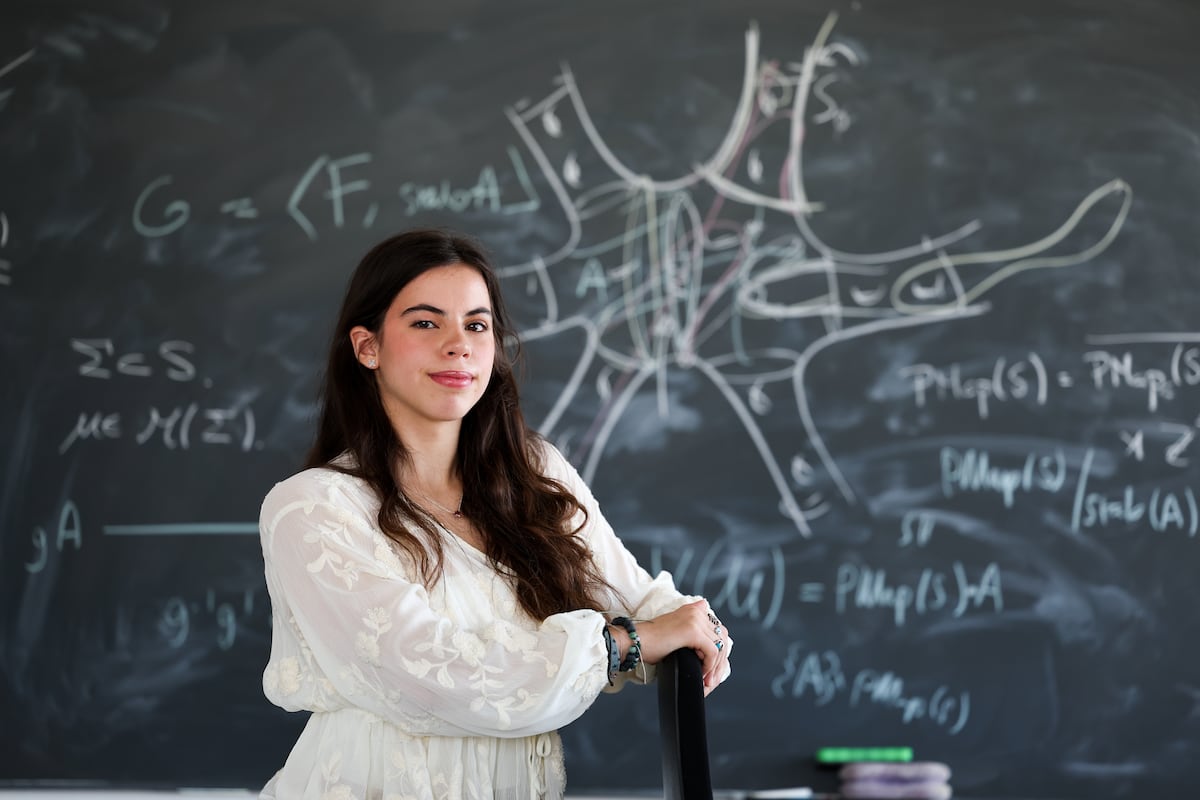 Ver belleza donde otros ven números: la cantera de jóvenes matemáticos del ICMAT abre nuevas inscripciones | Educación | EL PAÍS